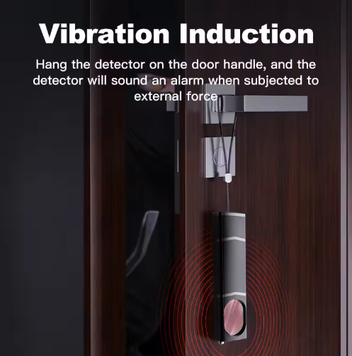 Homyrox™ Hidden Camera Detector